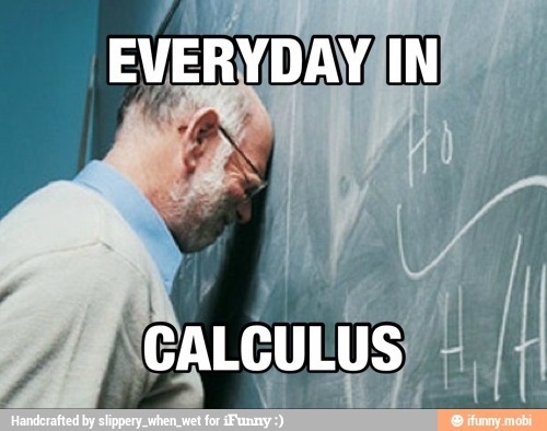 Everyday 