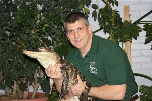 gator 