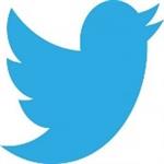 Twitter Icon 
