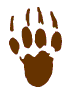bear claw 
