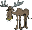 moose 