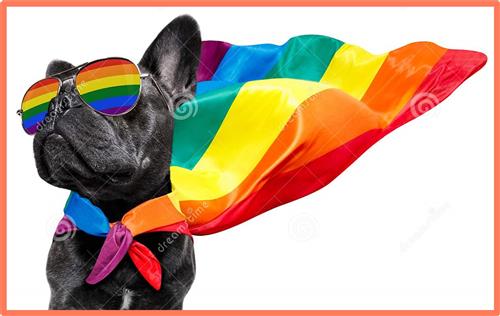 GSA